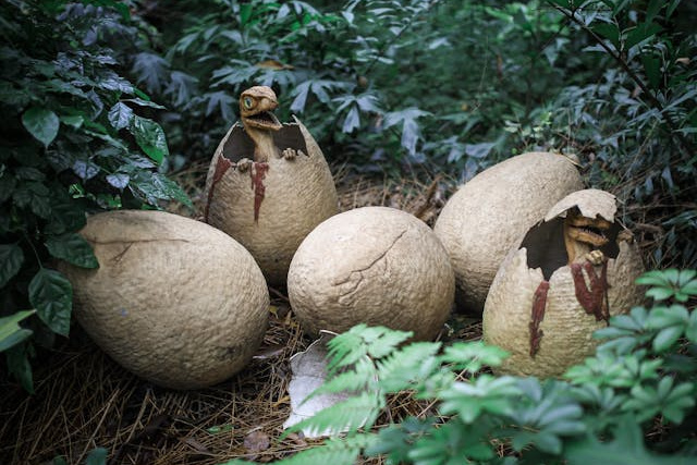 Dinosaur Nest with Eggs